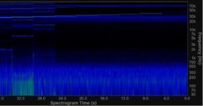 How to Check a Dog’s Environment for Ultrasound