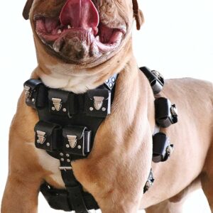 Dog Harness, Weighted Dog Vest, Exercise, Building Muscle
