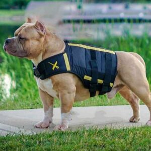 AB XDOG Weight Vest Harness for Dogs: Build Muscle, Improve Performance, Enhance Endurance, Support Mental Health and Overall Wellness. Provides Warming, Cooling and Weighted Compression