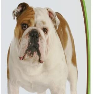 7_Healthy Breeds Bulldog Avocado Herbal Dog Shampoo 16 oz