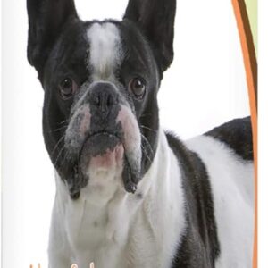 7_Healthy Breeds French Bulldog Hypo-Allergenic Shampoo 8 oz