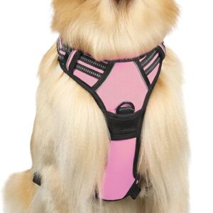 1_rabbitgoo No-Pull Pet Harness with 2 Leash Clips, Adjustable Soft Padded, Reflective No-Choke Pet Oxford Vest with Easy Control Handle for Large Dogs, Pink, L