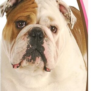 7_Healthy Breeds Bulldog Deodorizing Shampoo 16 oz