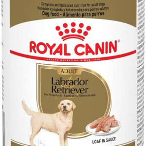 9b_Royal Canin Labrador Retriever Loaf in Sauce Canned Dog Food, 13.5 oz can