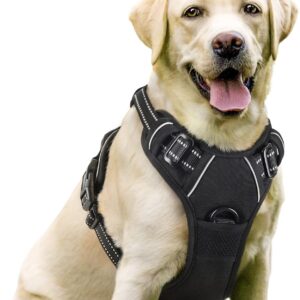 0_rabbitgoo Dog Harness, No-Pull Pet Harness with 2 Leash Clips, Adjustable Soft Padded Dog Vest, Reflective No-Choke Pet Oxford Vest with Easy Control Handle for Large Dogs, Black, L