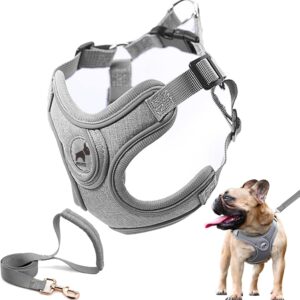 1_Dog Frenchie Harness with Leash Set, No Pull Adjustable Step in Dog Collars Harness