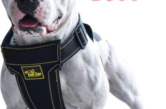 KNK Heavy Duty Dog Harness Vest for the American Bully: A Comprehensive Review