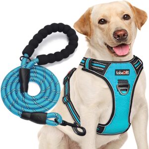 1_tobeDRI No Pull Dog Harness Adjustable Reflective Oxford Easy Control Medium Large Dog Harness with A Free Heavy Duty 5ft Dog Leash (L (Neck: 18″-25.5″, Chest: 24.5″-33″), Blue Harness+Leash)