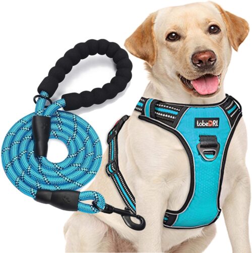 1_tobeDRI No Pull Dog Harness Adjustable Reflective Oxford Easy Control Medium Large Dog Harness with A Free Heavy Duty 5ft Dog Leash (L (Neck: 18″-25.5″, Chest: 24.5″-33″), Blue Harness+Leash)