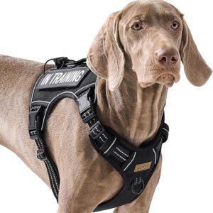 1_Tactical Dog Harness for Large Dogs, for Golden Retriever, Labrador, German Shepherd etc, No Pull Reflective No Choke Adjustable and Padded Pet Vest Harness, Black, L