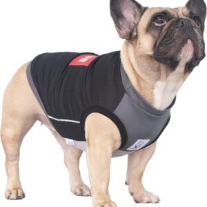 3_iChoue French Bulldog Summer Cooling Shirt for Dogs