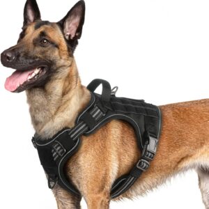 1_rabbitgoo Dog Harness for Large Dogs No Pull, Tactical Service Dog Vest with Molle and Control Handle, Adjustable and Reflective Military Pet Harness for Easy Walking and Training, Black, L