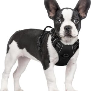 1_SMALL_rabbitgoo Dog Harness, No-Pull Pet Harness with 2 Leash Clips, Adjustable Soft Padded Dog Vest, Reflective No-Choke Pet Oxford Vest with Easy Control Handle for Small Dogs, Black