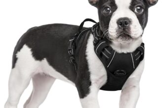 Top Dog Harnesses of 2025: Best Options for Large Dogs, Medium Dogs, Small Dogs, and Puppies