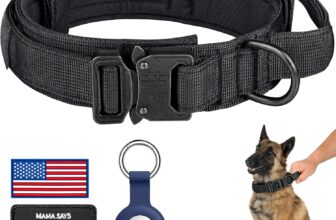 The Ultimate Guide to Training Collars for German Shepherds: Top Picks and Reviews