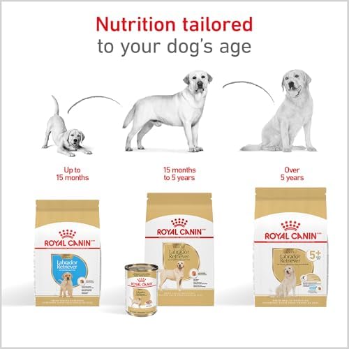Royal Canin Breed Health Nutrition Labrador Retriever Puppy Dry Dog Food, 2.5 lb Bag - Image 8