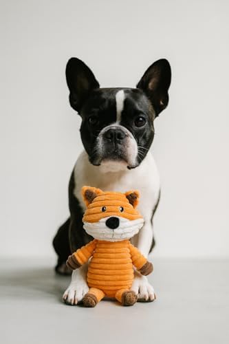 Jalousie Plush Toys Assortment Value Bundle Puppy Pet Mutt Squeak Toy for Medium Large Dogs (5 Pack Corduroy) - Image 8