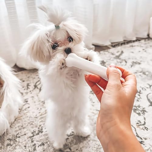 Nylabone New Puppy Starter Kit, Chew Toys & Natural Chew Treat for Puppies, Puppy Enrichment Teething Toys, Blue, Long Lasting Chicken & Bacon Flavor, Small Dogs - Up to 25 Ibs, 3 Pack - Image 2