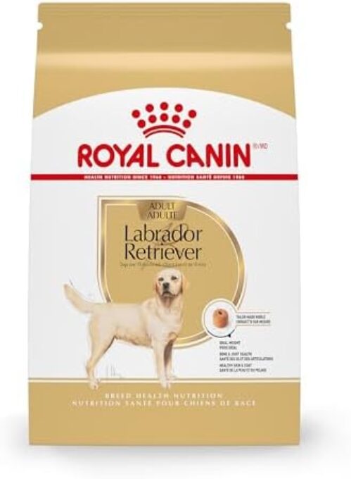 Royal Canin Breed Health Nutrition Labrador Retriever Adult Dry Dog Food, 5 lb Bag