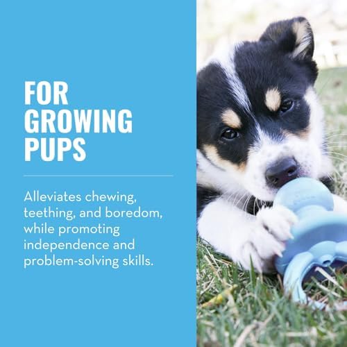 KONG Puppy Binkie - Pacifier Dog Toy for Puppies - Stuffable Treat Chew Toy for Treats - Durable Natural Rubber for Teething Puppy - for Small Puppies - Blue - Image 2