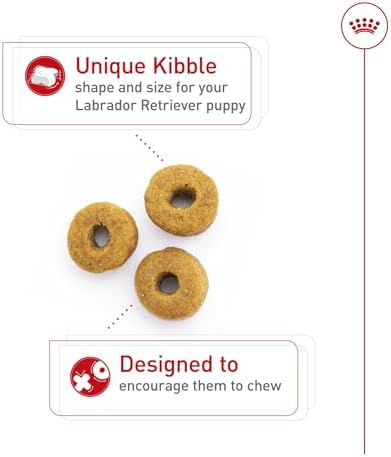 Royal Canin Breed Health Nutrition Labrador Retriever Puppy Dry Dog Food, 2.5 lb Bag - Image 3