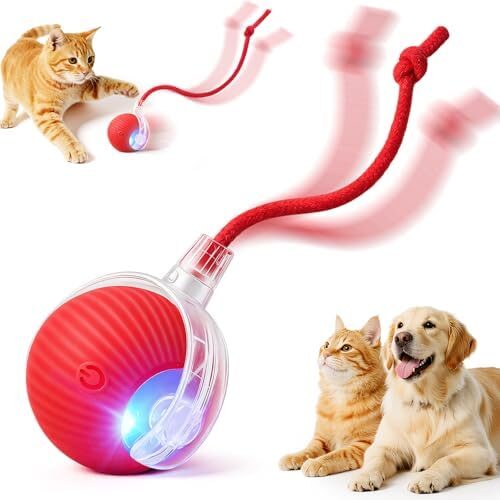 Interactive Electric Automatic Rolling Moving USB Rechargeable Self Activated Play Stimulation Toy Smart Chase Teaser Ball with Rope for Bored Adult Indoor Kitten & Cat and Puppy & Dog, Red
