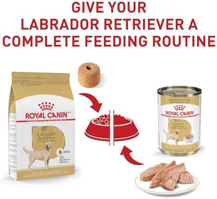Royal Canin Labrador Retriever Adult Dry Dog Food, 30 lb bag - Image 6