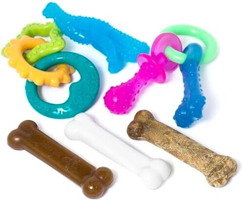 Nylabone New Puppy Starter Kit, 5 Chew Toys and 1 Natural Treat for Puppies, Multi Color, Bacon & Chicken Flavor, Small Dogs – Up to 25 lbs., 6 Pack
