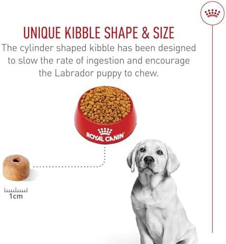 Royal Canin Breed Health Nutrition Labrador Retriever Puppy Dry Dog Food, 2.5 lb Bag - Image 6