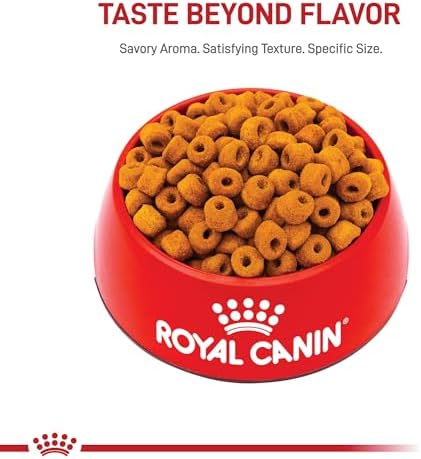 Royal Canin Labrador Retriever Adult Dry Dog Food, 30 lb bag - Image 8