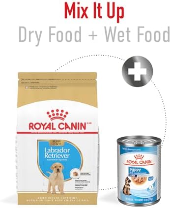 Royal Canin Breed Health Nutrition Labrador Retriever Puppy Dry Dog Food, 2.5 lb Bag - Image 7