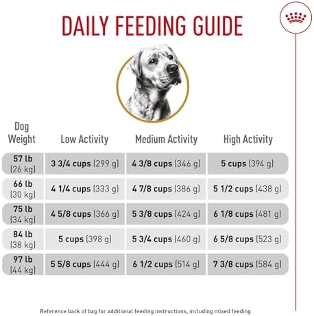 Royal Canin Labrador Retriever Adult Dry Dog Food, 30 lb bag - Image 10