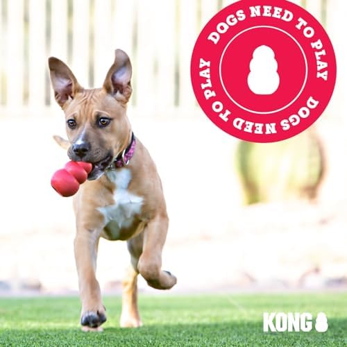 KONG Puppy Binkie - Pacifier Dog Toy for Puppies - Stuffable Treat Chew Toy for Treats - Durable Natural Rubber for Teething Puppy - for Small Puppies - Blue - Image 6