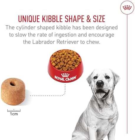 Royal Canin Labrador Retriever Adult Dry Dog Food, 30 lb bag - Image 5