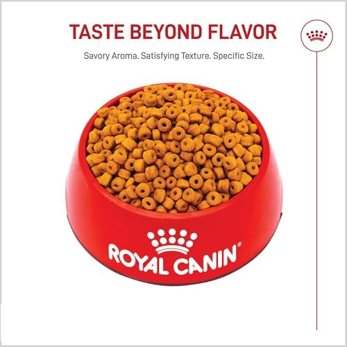 Royal Canin Breed Health Nutrition Labrador Retriever Puppy Dry Dog Food, 2.5 lb Bag - Image 2