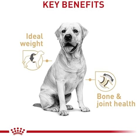 Royal Canin Breed Health Nutrition Labrador Retriever Adult Loaf in Sauce Dog Food, 13.5 oz (Pack of 12) - Image 2