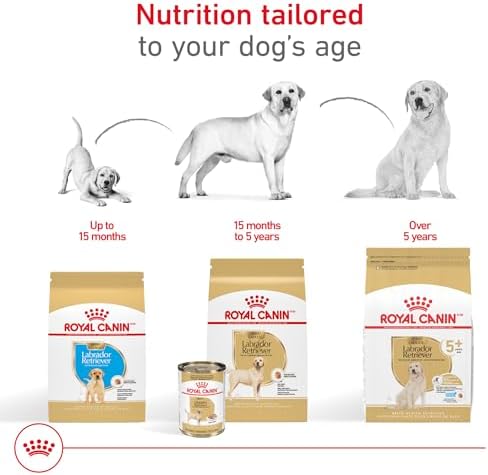 Royal Canin Breed Health Nutrition Labrador Retriever Adult Loaf in Sauce Dog Food, 13.5 oz (Pack of 12) - Image 4