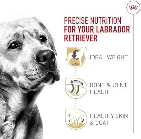 Royal Canin Labrador Retriever Adult Dry Dog Food, 30 lb bag - Image 4