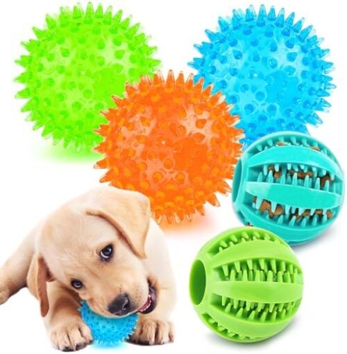 2 Different Functions Interactive Ball for Dogs 2.5” Squeaky Dog Balls Toys and Puppy Teething Chew Toy Balls for Small Dogs for Clean Teeth and Training （5Pcs）