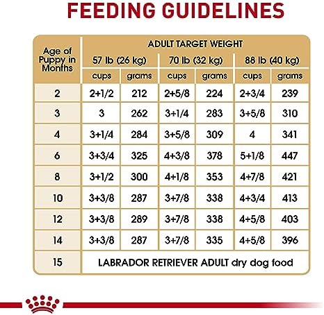 Royal Canin Breed Health Nutrition Labrador Retriever Puppy Dry Dog Food, 2.5 lb Bag - Image 10