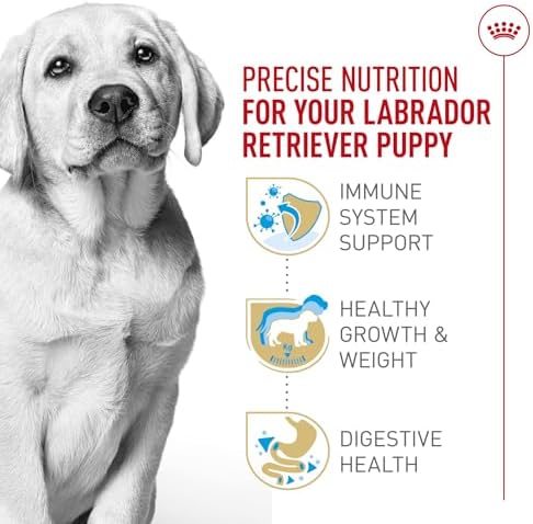 Royal Canin Breed Health Nutrition Labrador Retriever Puppy Dry Dog Food, 2.5 lb Bag - Image 4