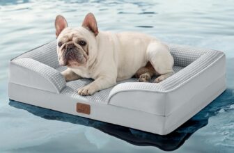 🐾 Best Products for French Bulldogs (Toys, Beds, Harnesses & Essentials)