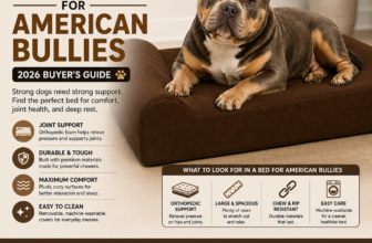 Best Dog Beds for American Bullies (2026 Buyer’s Guide)