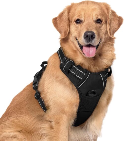 2_rabbitgoo Dog Harness No Pull with 2 Leash Clips, Adjustable Soft Padded, Reflective Oxford No Choke Pet Vest with Easy Control Handle