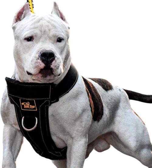 1_Heavy Duty Dog Harness for Pitbulls, Bullies and Large Breeds – No Pull, Ultra Durable, Soft Padded Chest, Metal Leash Attachment