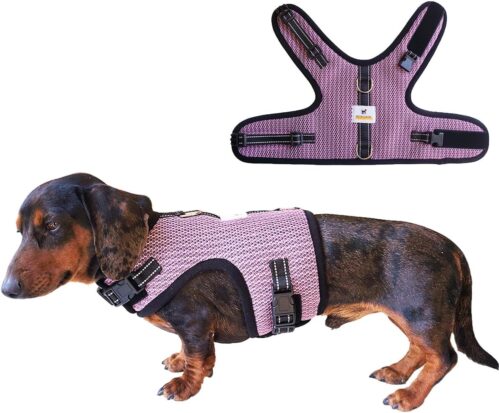3_Mini Dachshund Harness Vest, No Pull & No Armpit Rub Dachshund Harness, Escape Proof Adjustable Dog Harness for Walking