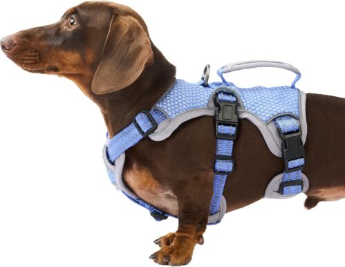 3_Huntboo Escape Proof Dog Harness, Escape Artist Harness, Reflective Dog Harness with Handle, Durable,Adjustable Vest for Small Medium Large Dogs Walking, Training, and Running Gear