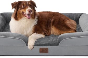 Best Dog Beds for Support and Comfort (2026 Buyer’s Guide)