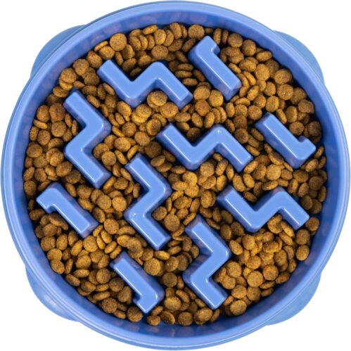 5_Outward Hound Fun Feeder Slo Bowl – Large 4‑Cup Capacity, Slow Feeding, Medium to Large Dogs, Non‑Slip, Blue, Notch Pattern