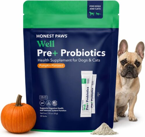 Probiotics for Dogs, Digestive Health Powder with Prebiotic, Pumpkin, 30ct | 5B CFUs plus prebiotic for gut health, yeast & itchy skin; USA-made, NASC certified; sprinkle powder over food